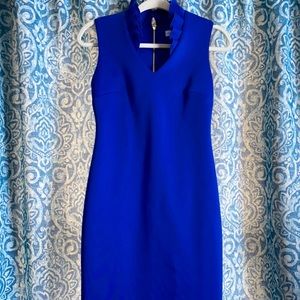 Brand new with tags Calvin Klein cobalt blue ruffle neck dress.
